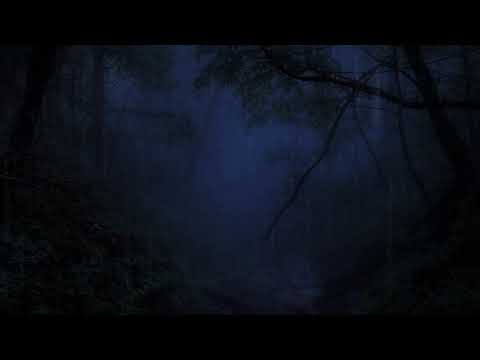 SLEEP & RELAXATION - Rain & Thunderstorm in the Forest- 10 Hour Dark Screen