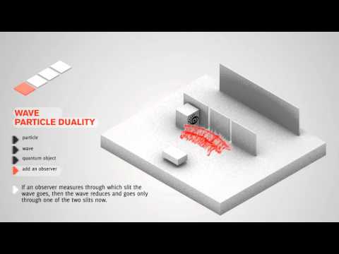 Wave Particle Duality