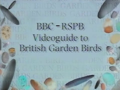 BBC - RSPB Videoguide to British Garden Birds (1989) - VHS - 1997 Re-issue
