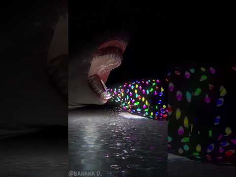 Abstracted Baby Shark VS OHIO BOSS Shark in Hell Space 2