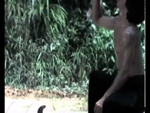 ‪Bruce Le   THE LEGEND OF BRUCE LEE‬‏   YouTube