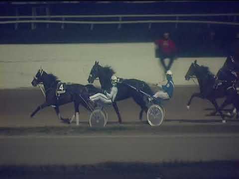 Trotto 28/12/2018 - 7ª corsa