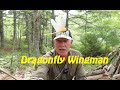Dragonfly Wingman - The Deer Fly Solution?