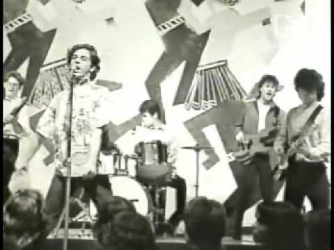 Video thumbnail for We Are the Vegetables