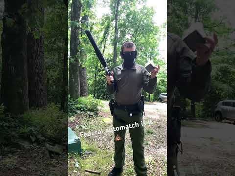Federal Premium PUNCH 22lr Ammo