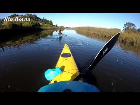 Tolten 4, 5 y 6 Marzo 2022