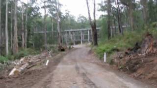 preview picture of video 'Noojee Trestle Bridge Tour.'