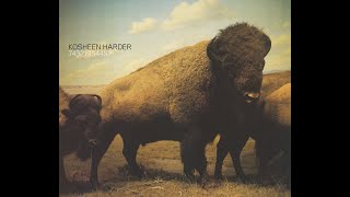 KOSHEEN – Harder (2001)