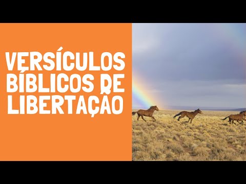 Versículos Bíblicos de Libertação!