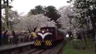 preview picture of video 'Views of Cherry blossom Vol.4 Ashino-Park,Japan May 2012'