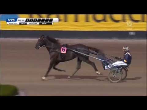 Jubileumspokalen 2016, Nuncio