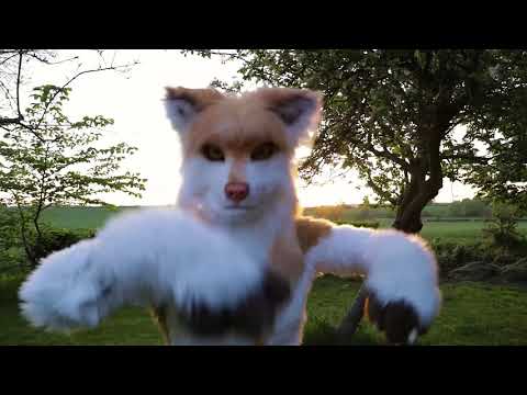 Furry dance cover (Bts Mic drop