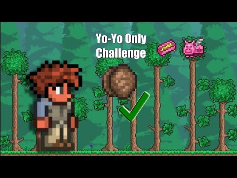 THE FLYING PIGGY BANK