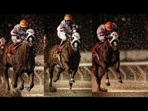 Stallionesearch's Top 3 Moments Of 2016 In QH Racing: #3