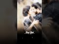 Tujhe Dekha To Bas Mujhe Aaysa Lagta Hai ️ Ytshorts 4kstatus Watsappstatus Shorts Lovestatus