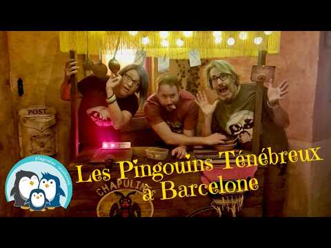 Aperçu de la vidéo