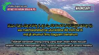 Download lagu Ayat ayat Ruqyah Penghalau Sihir dan Jin Jahat Ust... mp3