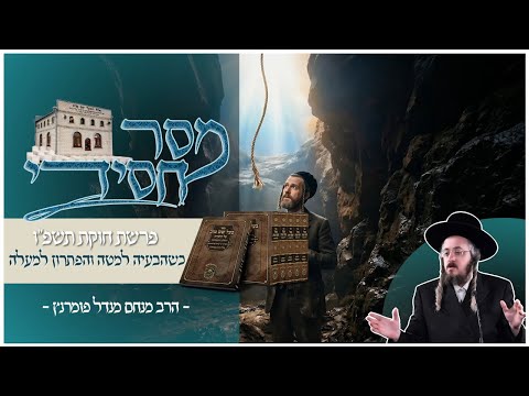 מסר חסידי - פרשת חוקת תשפ"ו