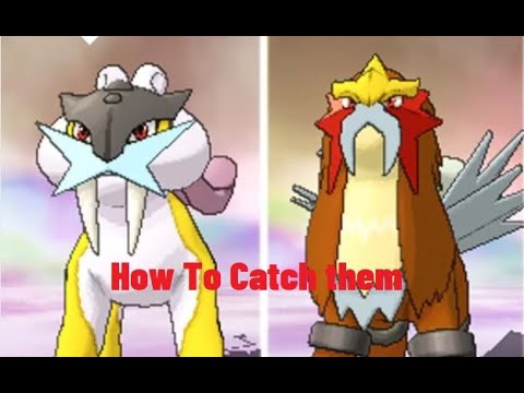 Pokemon mmo 3d how to get entei and raikou with Articuno fresh lvl 100