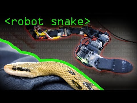 ロボットスネーク - コンピュータマニア (Robot Snake - Computerphile)