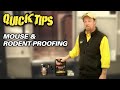 Mouse & Rodent-Proofing Your Camper | Pete's ...