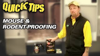 MOUSE & RODENT-PROOFING YOUR RV| Pete
