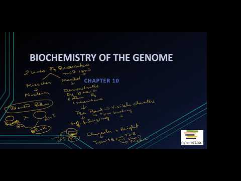 Opexstax Microbiology Chapter#10- Banhi