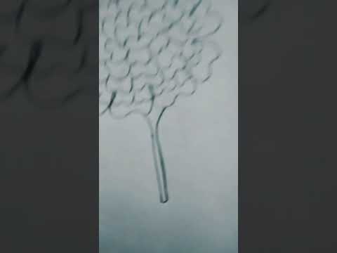 𝓕𝓵𝓸𝔀𝓮𝓻𝓼 𝓶𝓪𝓭𝓮 𝓫𝔂 𝔃𝓾𝓷𝓪𝓲𝓻𝓪