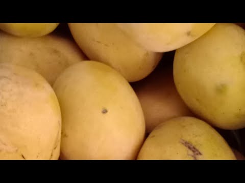 #sohrt MashaAllah Allah pak ki Kudrat mix fruit sport my channel