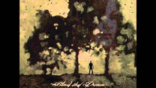 Bleed The Dream - Who's Killing Who