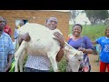 Man Kileo Ft Njiwa Manga Ugeni Wa Man Kileo Official Music Video Dir D Frank0762533823