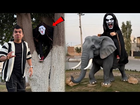 Bhoot Elephant Pa Ride Krna Laga 😨 Hmara Picha Lag Gya 😬