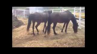 Seven minutes of freedom and devils