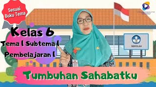 Kelas 6 Tema 1 Subtema 1 Pembelajaran 1 : Tumbuhan Sahabatku