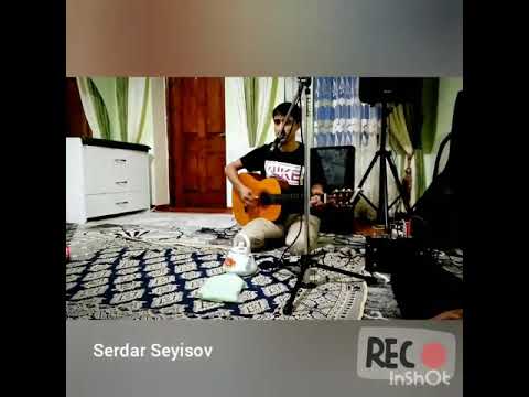 Serdar gitarist leyla