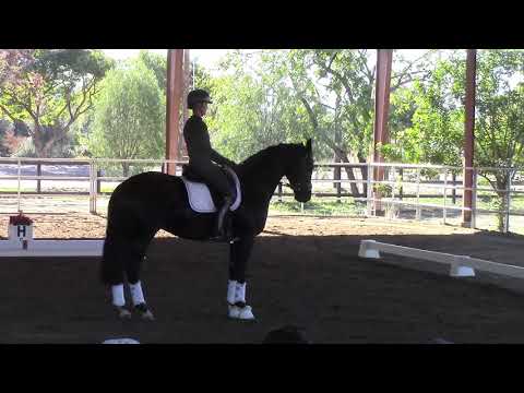 CDS San Diego 2019 Test Symposium -  1st level test 1 - 8 Dec 2018