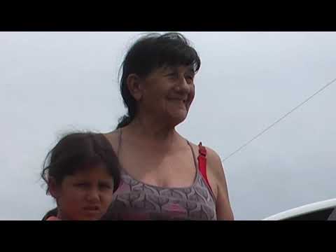 Chilcas y Chingolas - Florida