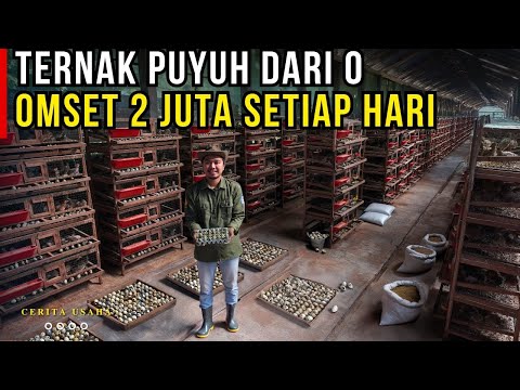 SUCCESSFUL QUAIL FARMING FROM ZERO