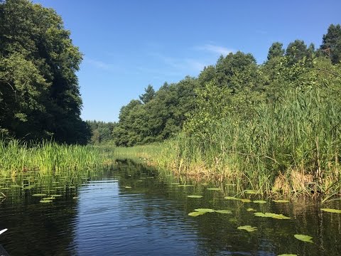 Frühling: Naturpark Uckermärkische Seen
