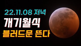 11월 8일 개기월식이 일어납니다. (개기월식 시간/개기월식 관측 방법/개기월식 라이브방송) [미드나잇]