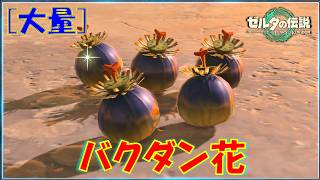 【ゼルダの伝説ティアキン】「バクダン花」が大量に手に入る場所。50個は手に入ります！
