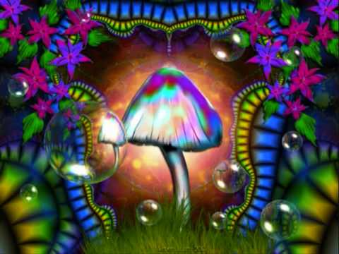 Infected Mushroom - Becoming Insane (Kamasutrance Remix)