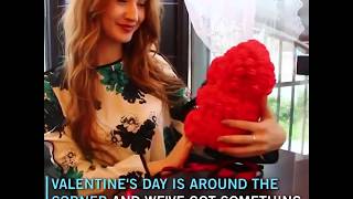 Rose Bear Teddy for Valentines Day | Bear Rose Teddy | Luxury Rose Teddy Bear Love Teddy Bear