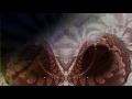 Ozric Tentacles - Space Between Your Ears : Live