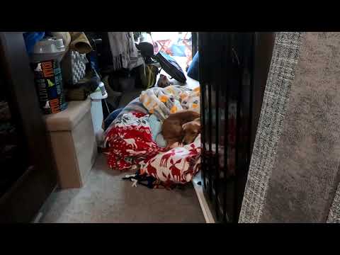 381 M Thomas Payne Reclining Sofa Remodel/Removal