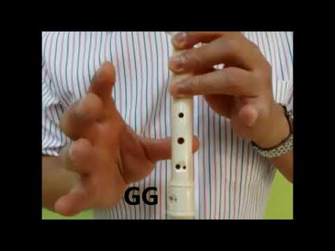 Twinkle Twinkle Little Star Recorder