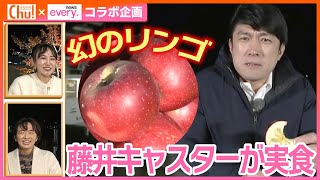 【旬】蜜がたっぷり！幻のリンゴ「紅琥珀」を藤井キャスターが食リポ