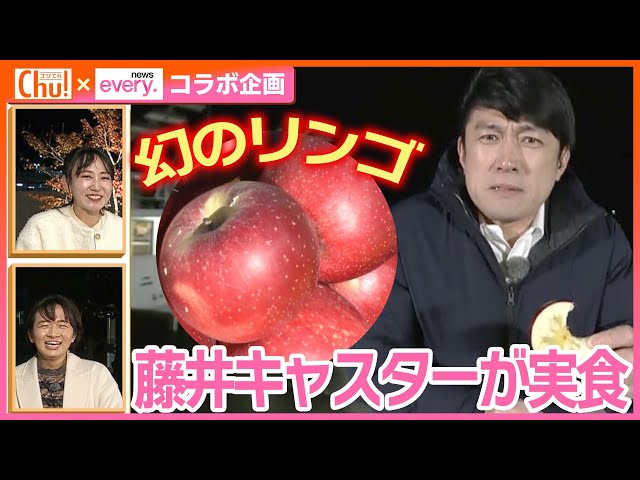 【旬】蜜がたっぷり！幻のリンゴ「紅琥珀」を藤井キャスターが食リポ