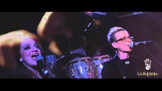 La Scimmia - "'Til I Met Thee" (Cody ChesnuTT Cover)