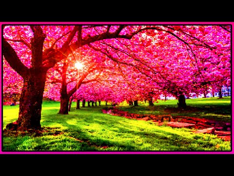 Vivaldi - Four Seasons : Spring - Synthesizer Soundfont